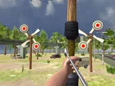 Archery Expert 3D