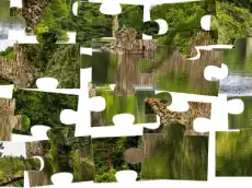 Forest Jigsaw Puzzle