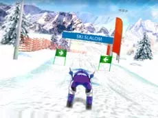 Ski Slalom